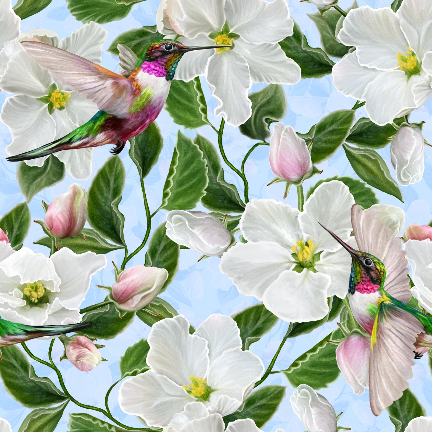 Apple Blossom