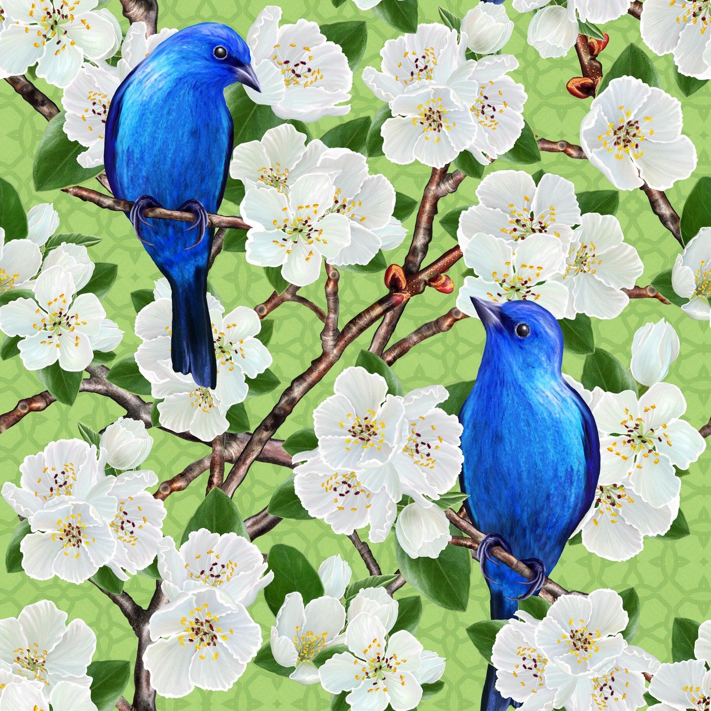 Blue Bird White Flower