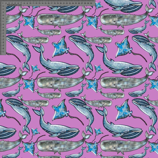 Pink Whale- Sarah McAlpine Art- Custom Pre Order