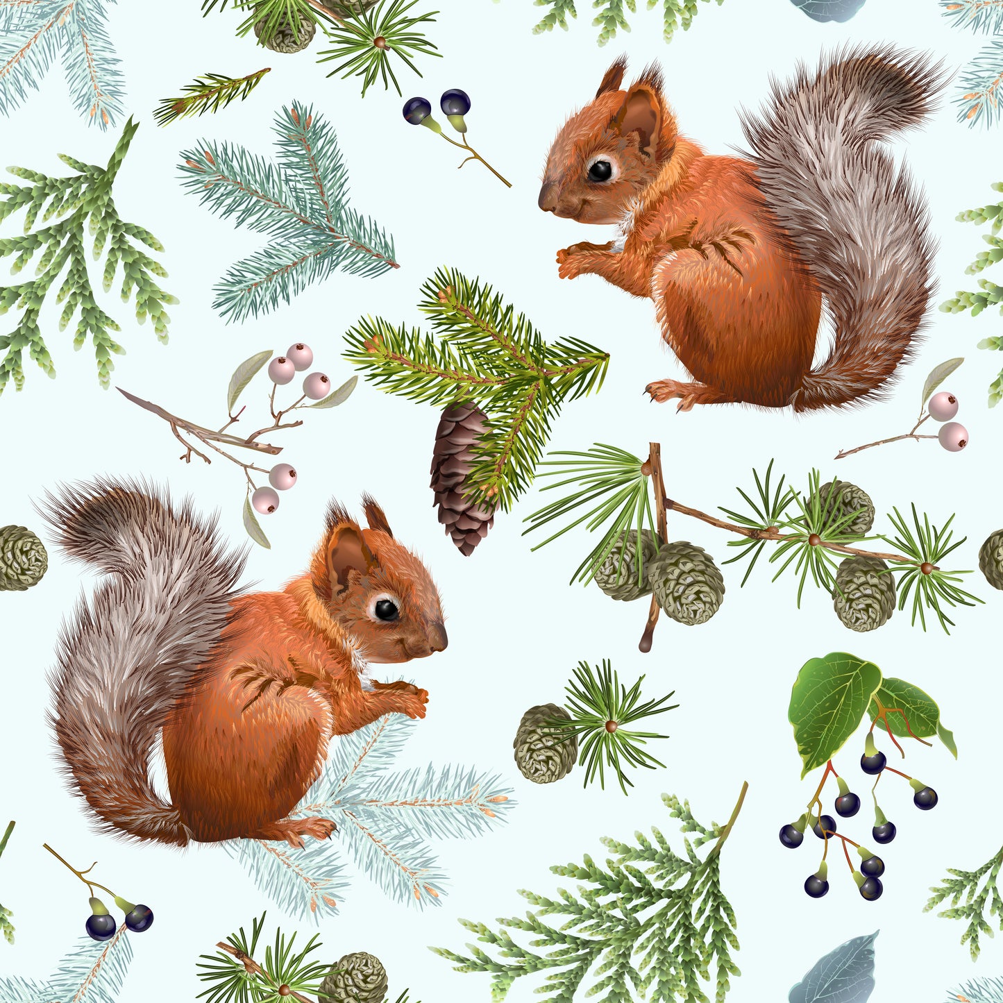 Squirrel  - Cotton Spandex - 250g