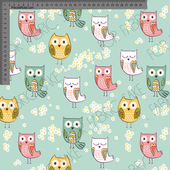 Load image into Gallery viewer, Owl on mint- Custom Pre-order
