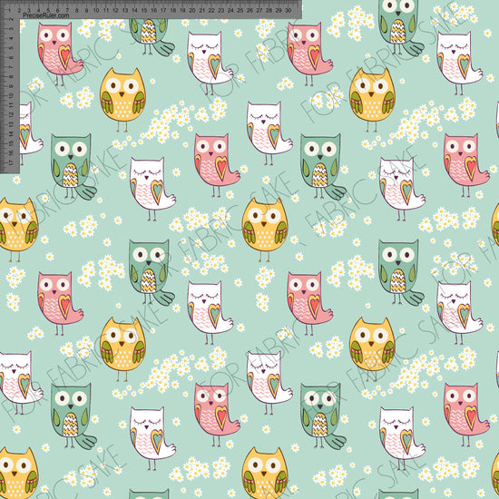 Load image into Gallery viewer, Owl on mint- Custom Pre-order
